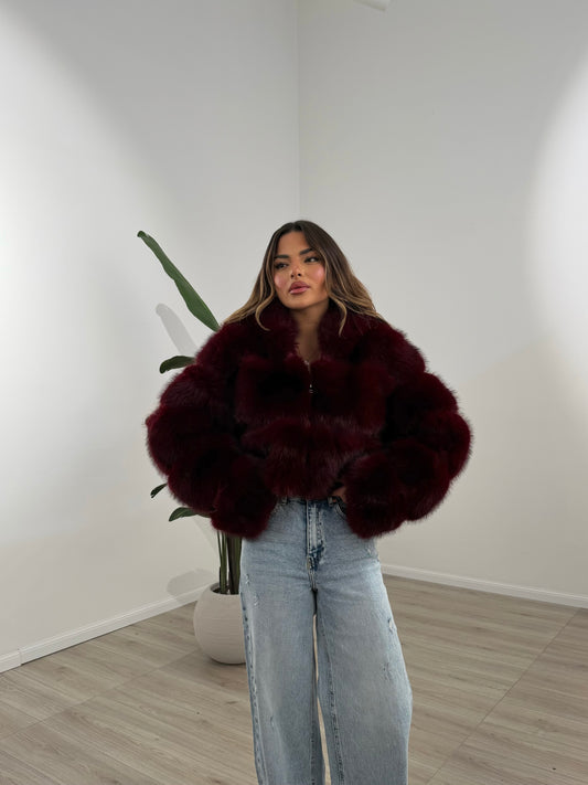 PELLICCIA REPLAY BORDEAUX